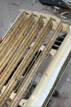 Spring Time Dryer & Air Duct Allergen Cleaning