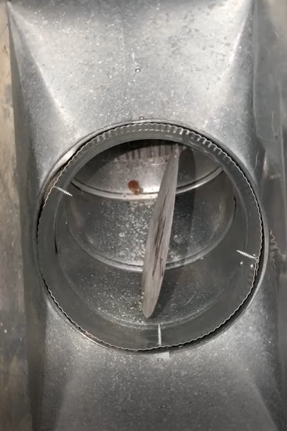 Spring Time Dryer & Air Duct Eco-friendly Cleaning