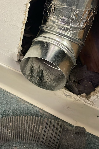 Spring Time Dryer Bird Nest Removal